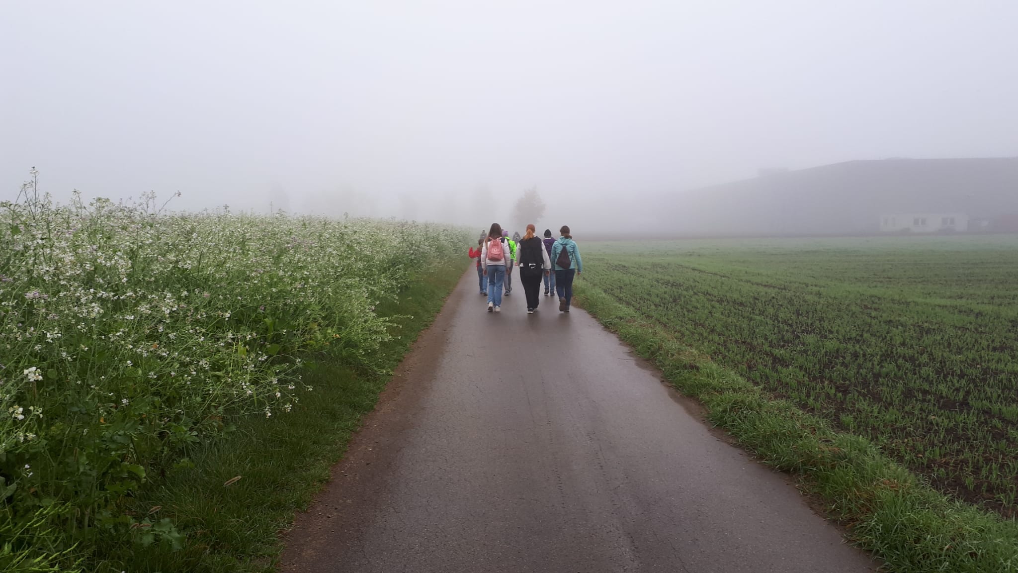 24 10 Wandertag 7b 1