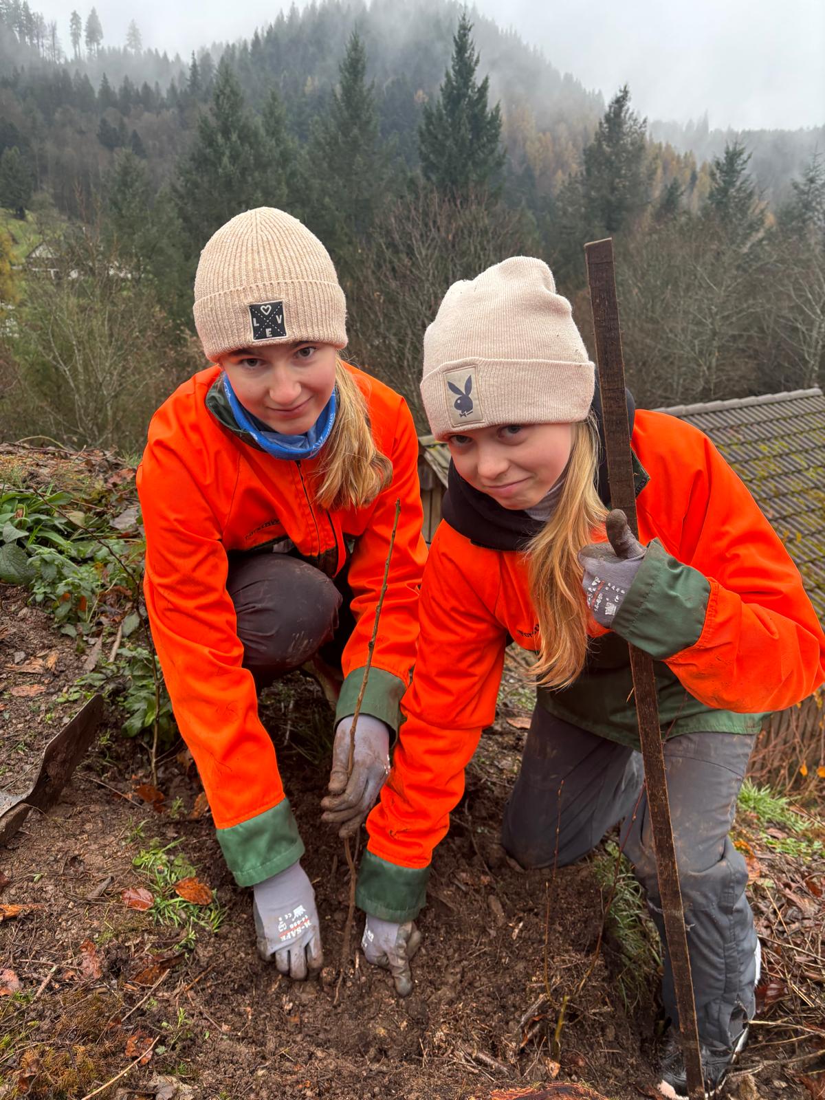 25 11 WSH Dienstag 6