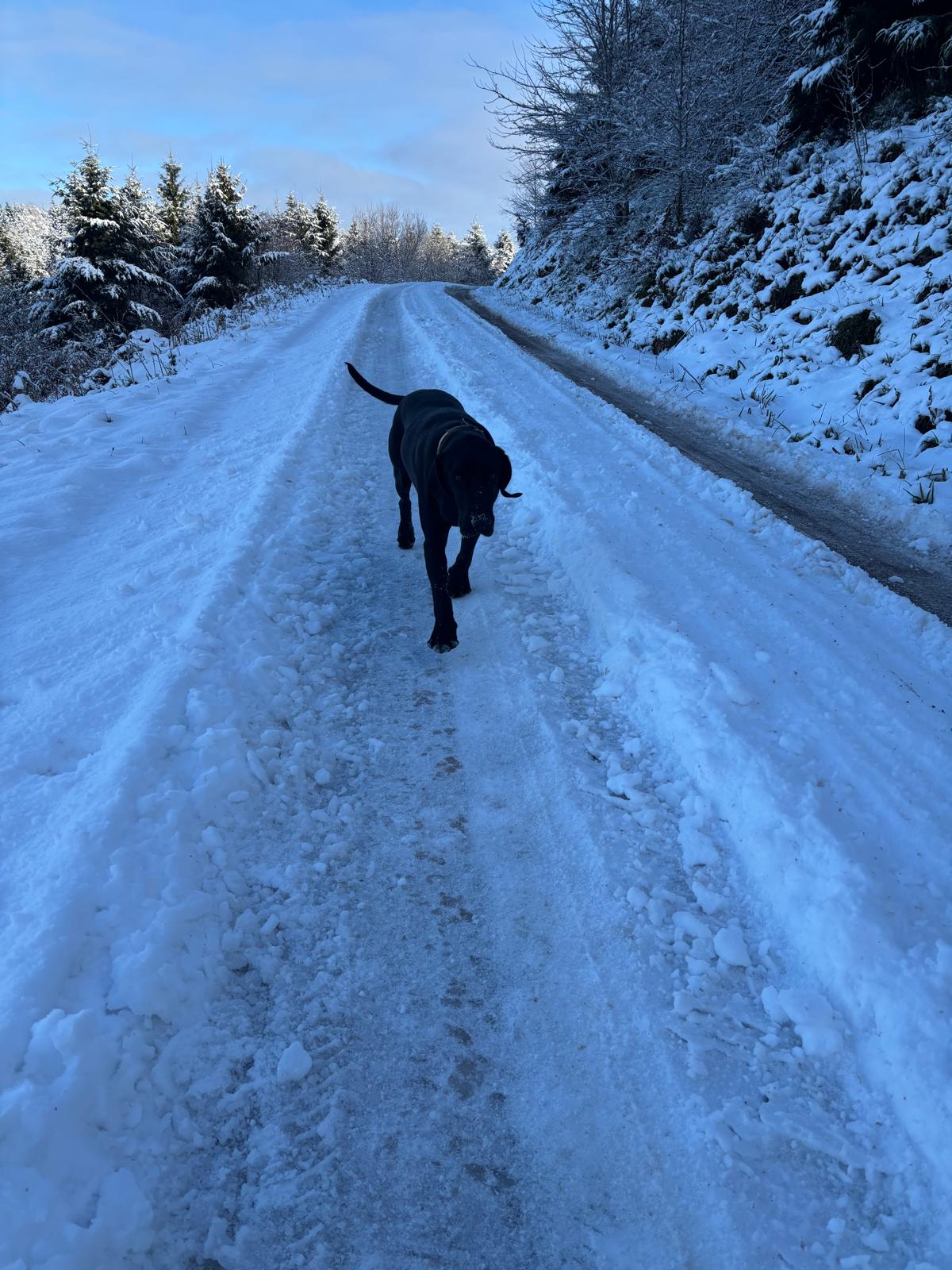 25 11 WSH Donnerstag 5